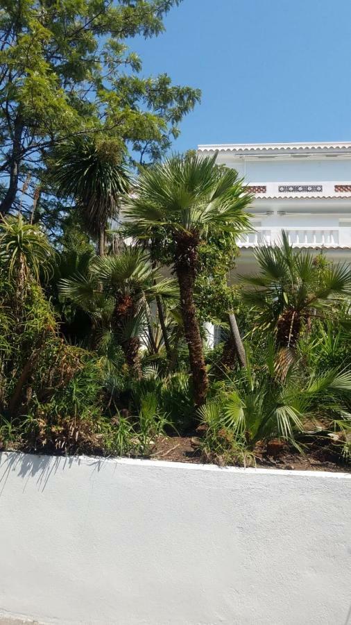 The Gatsby Mansion Βίλα Αντίμπ Εξωτερικό φωτογραφία